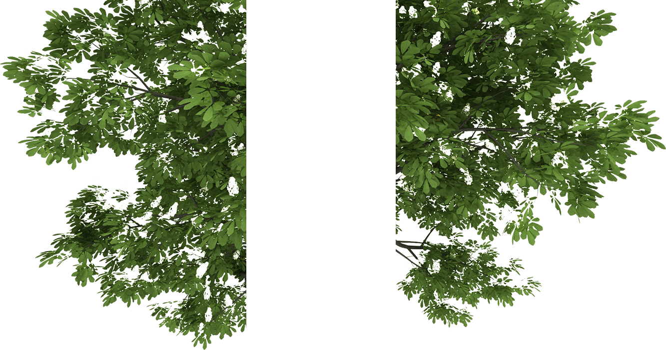 Sc 1 Th - Portable Network Graphics (1333x701), Png Download