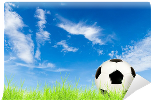 Soccer Ball On Green Grass With Blue Sky Wall Mural - Blue (400x400), Png Download