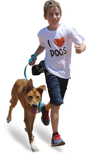 K#dog-running - Dog (336x600), Png Download