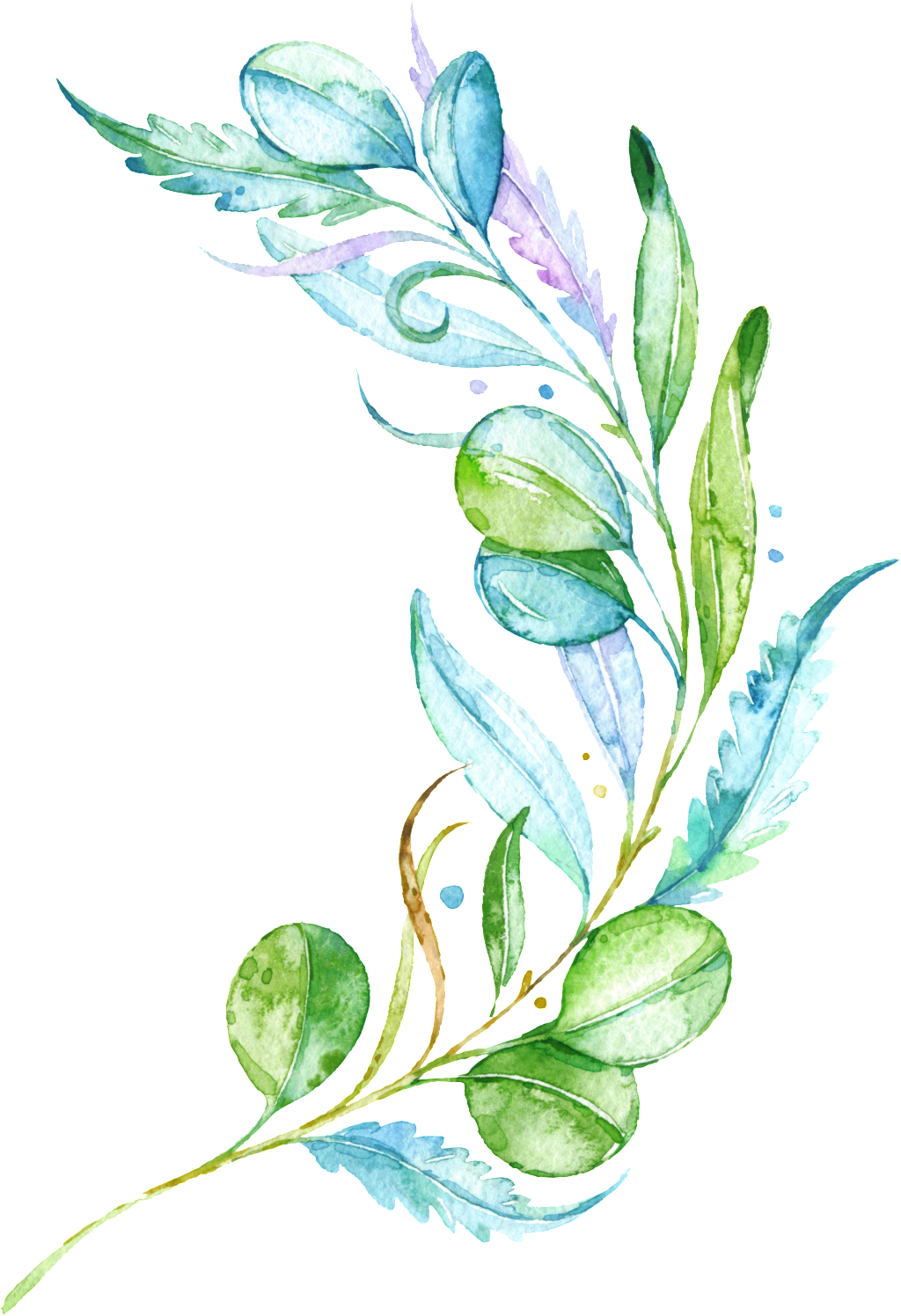 Fresh Leaves Branches Transparent (1024x1496), Png Download