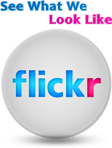 Afi Flickr 3d Button 2 - Flickr Logo 3d (406x522), Png Download