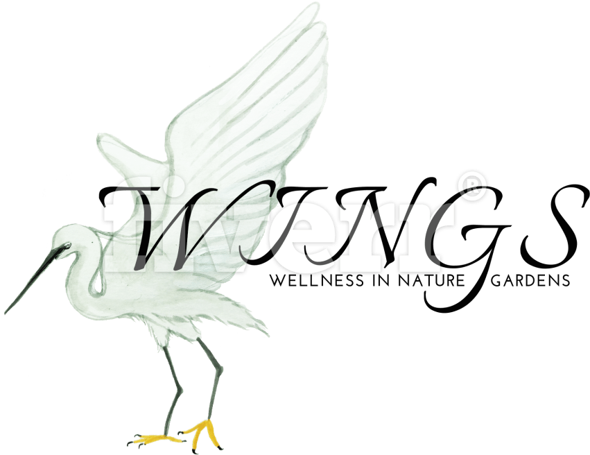 Little Egret (1200x1200), Png Download