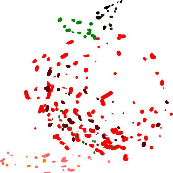 Computer Graphics - Circle (559x559), Png Download