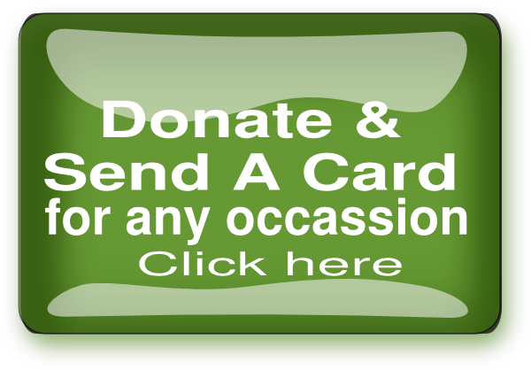 How To Set Use Donate Button Icon Png (600x418), Png Download