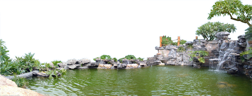 Pond Computer File - Pond Plant Png (1024x418), Png Download