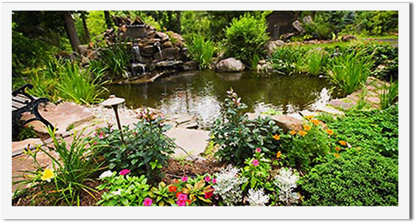 Happy Tree Ranch Pond - Portable Network Graphics (746x330), Png Download