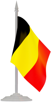 Papua New Guinea Flag Gif (640x480), Png Download