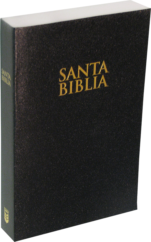 Santa Biblia Cerrada Png (520x830), Png Download