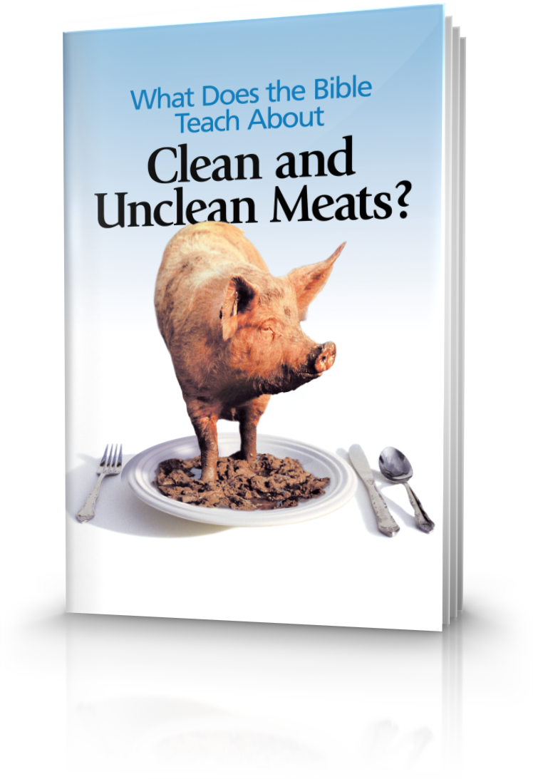What Does The Bible Teach About Clean And Unclean Meats - Does The Bible Teach About Clean (748x1093), Png Download