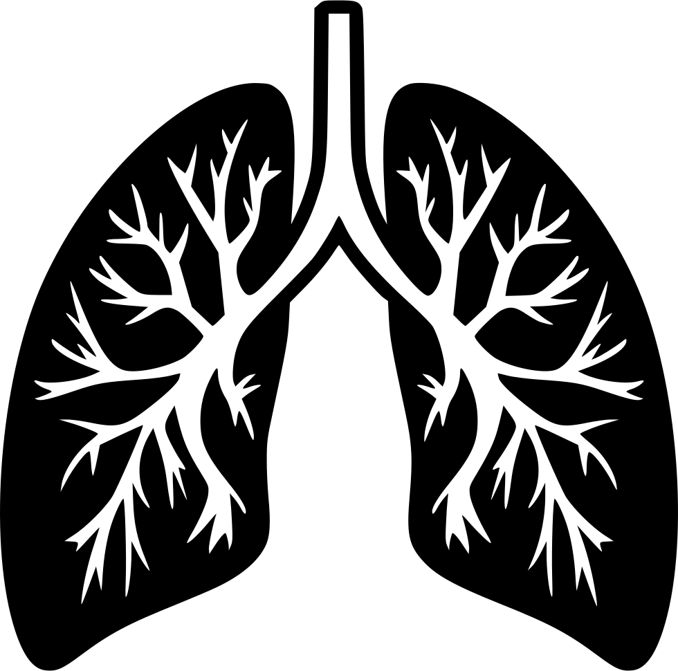 Lungs Comments - Lungs Png (980x970), Png Download