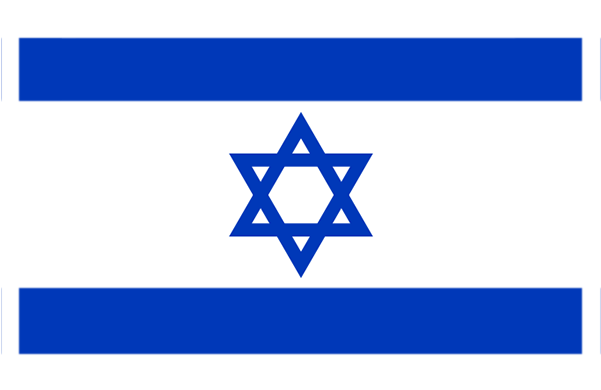 Israeli Flag Medium - Israel Flag Clip Art (600x600), Png Download