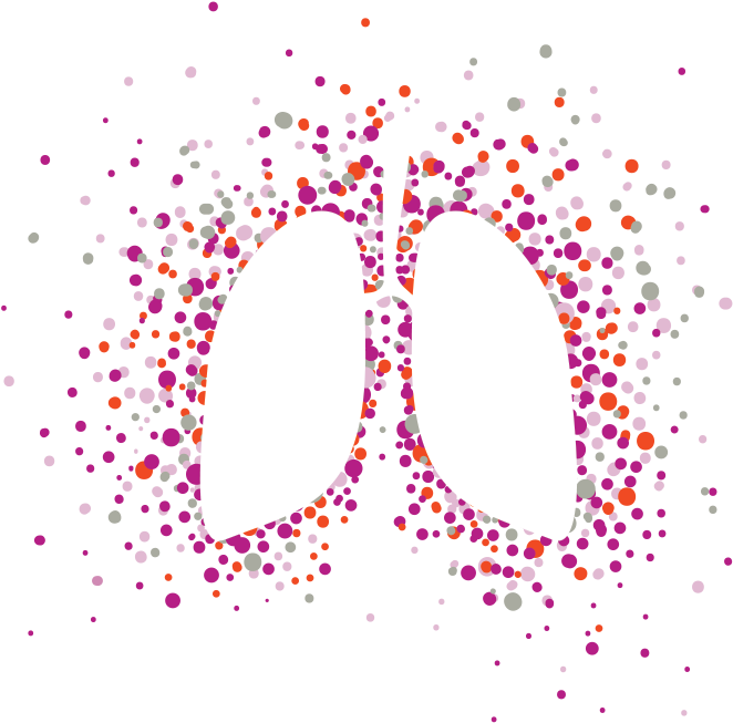 Luster-lungs - Circle (743x702), Png Download