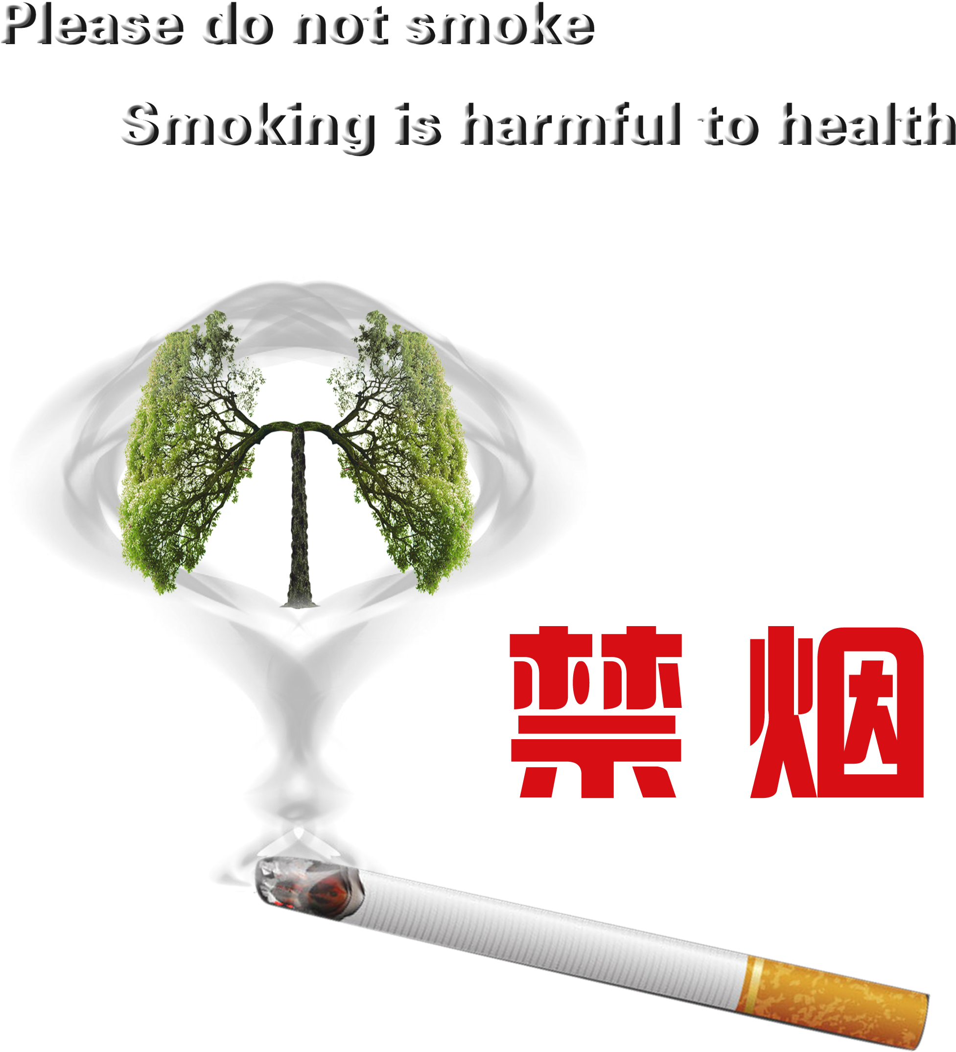 Smoking Cessation Smoking Harmful Health Protection - 公益 广告 (2502x2953), Png Download