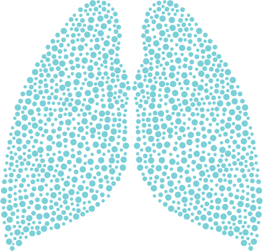 Lung Png (527x503), Png Download