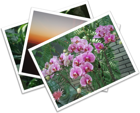 Jacklau96 Pic Icon - My Pictures Png Icon (465x382), Png Download
