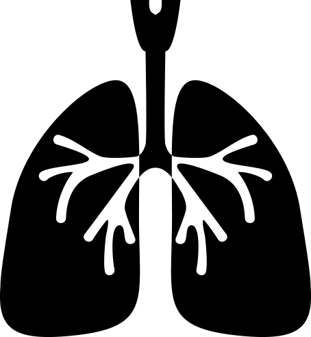 Lung Disease Financial Tribune - Shortness Of Breath Icon (454x491), Png Download