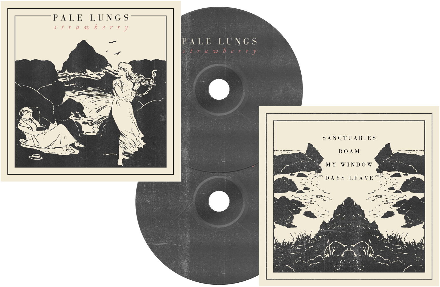 Pale Lungs (1600x1066), Png Download