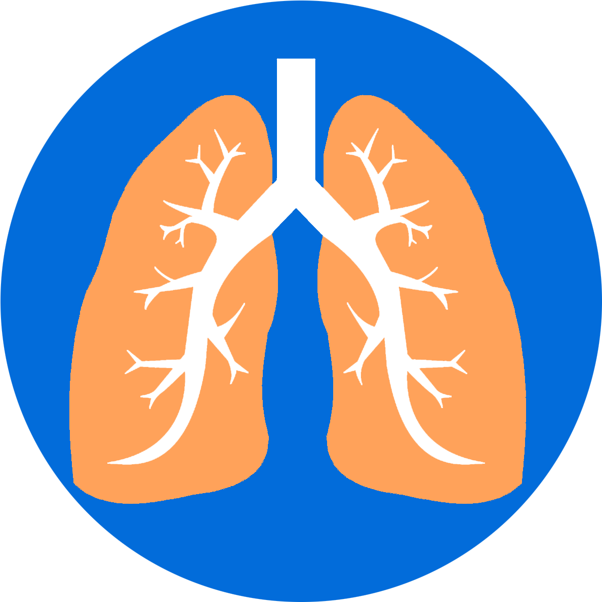 Lungs - Lung (1200x1200), Png Download