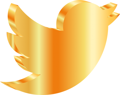 Twitter,social - Social Media (500x394), Png Download