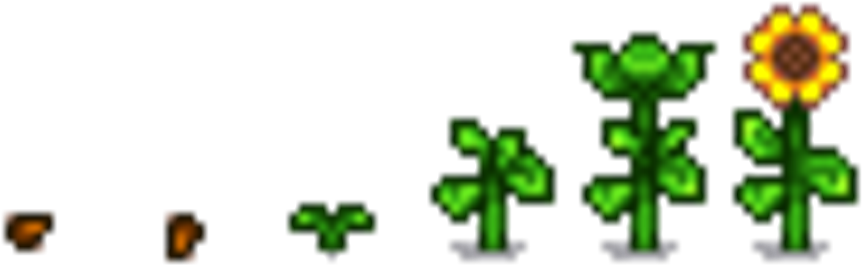 Sun Flower G - Stardew Valley Flower Png (880x274), Png Download
