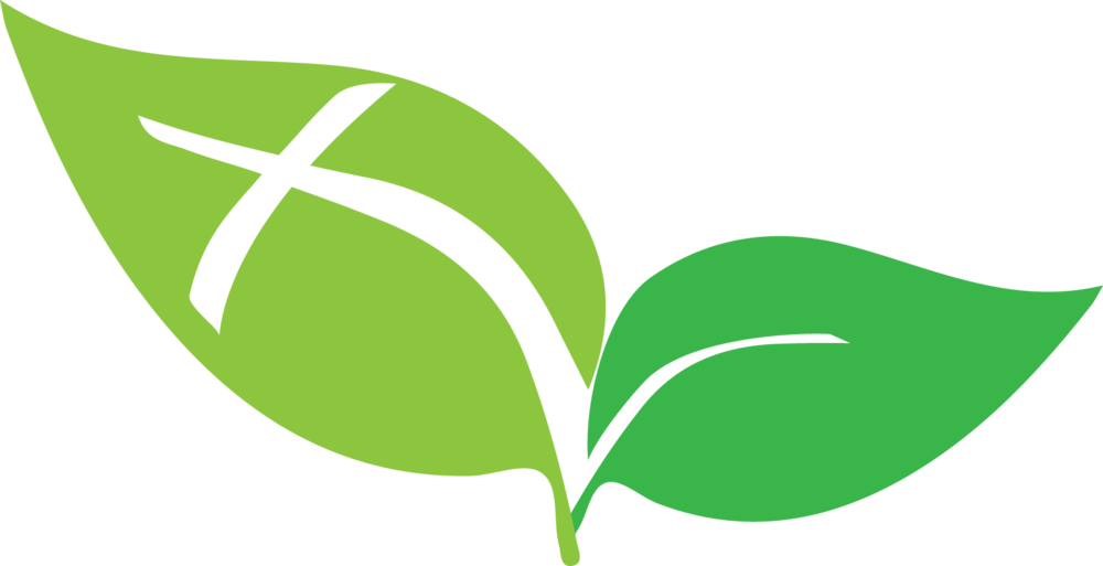 Dp Leaves Icon (1000x513), Png Download