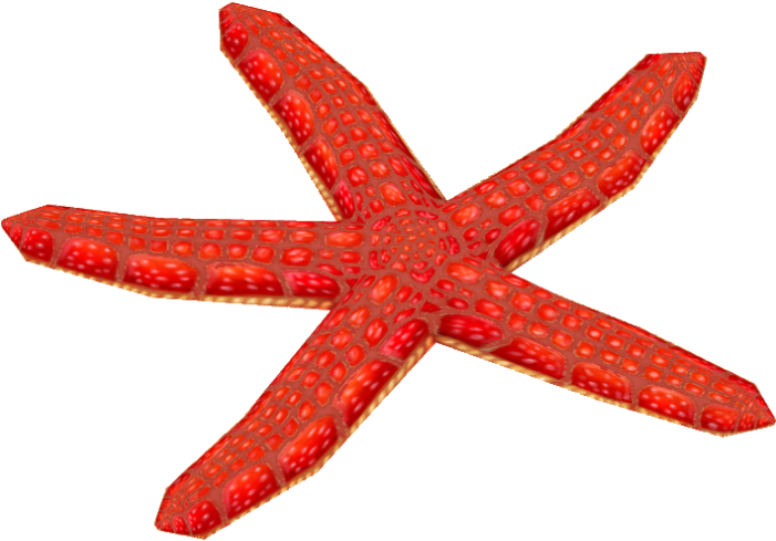 Red Mesh Starfish - Wiki (700x700), Png Download
