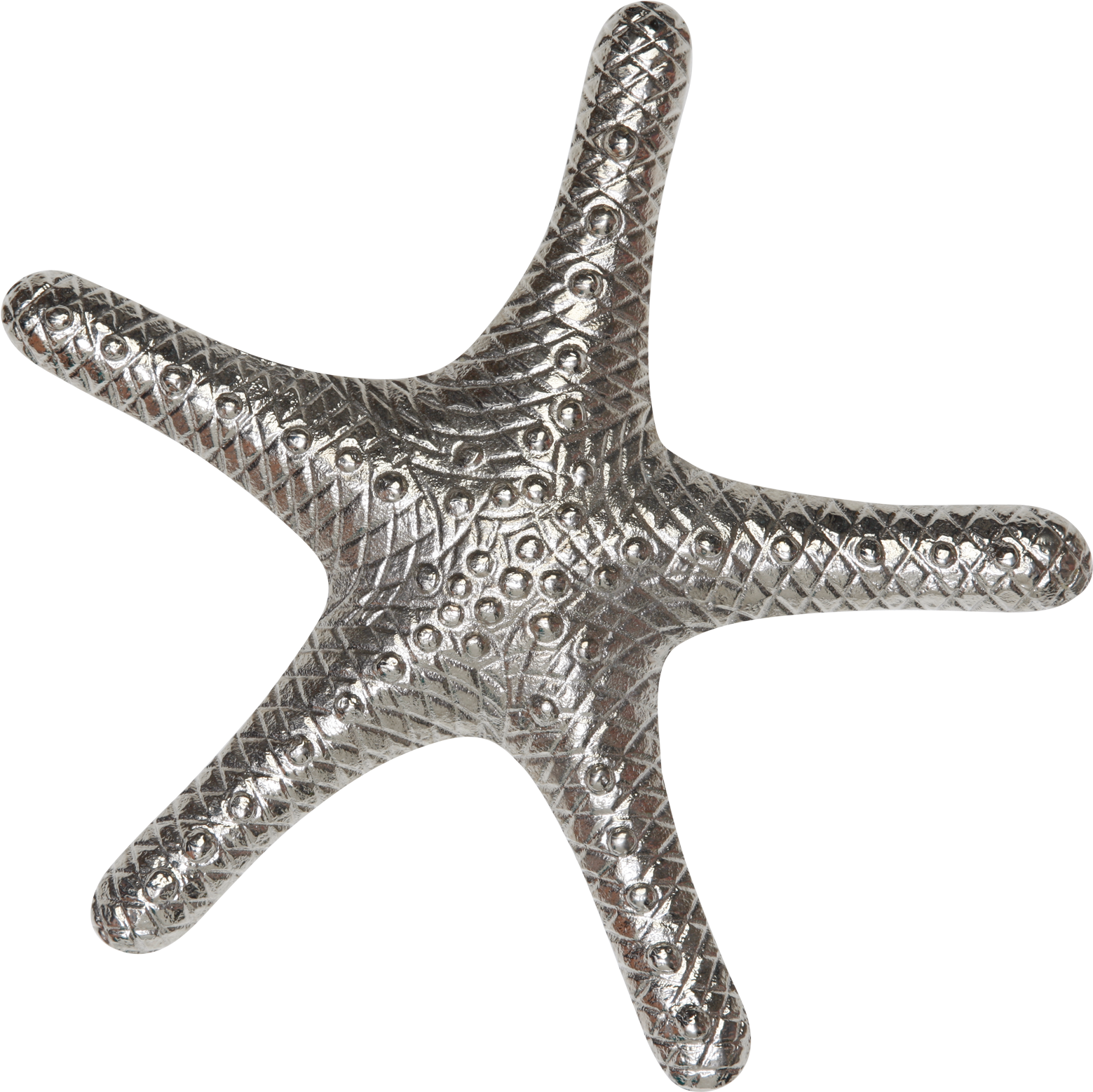130037 Silver Starfish - Starfish (1600x1600), Png Download