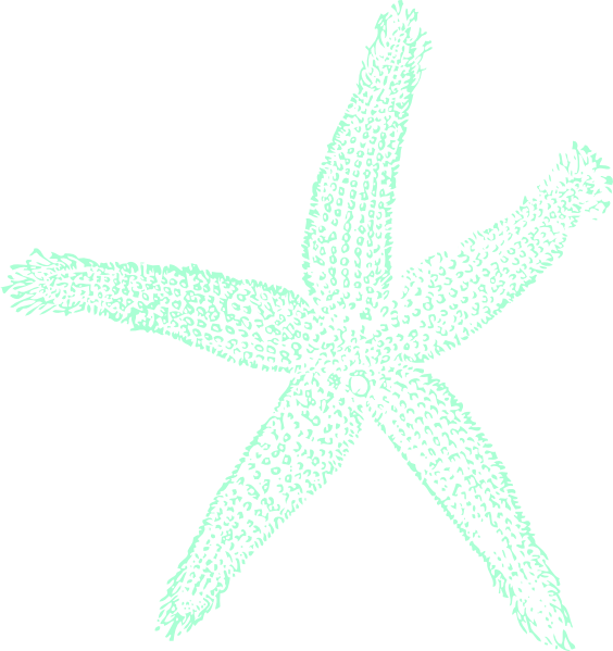 How To Set Use Tealgreen Starfish Clipart (564x599), Png Download