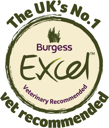 Excel Logo - Burgess Excel Chinchilla 2kg (466x547), Png Download