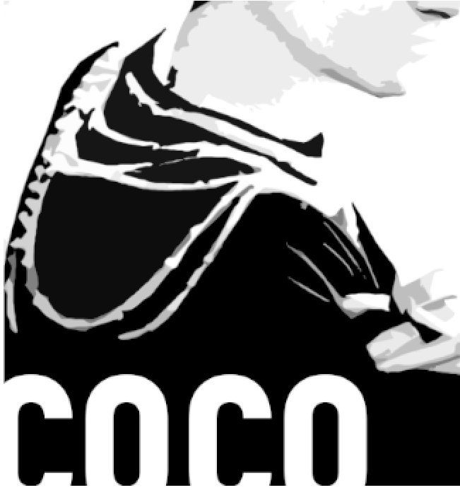 Coco Chanel Poster Find Your Posters At Wallstars Online (800x800), Png Download