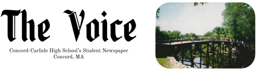 Voice-1 - Education (941x246), Png Download