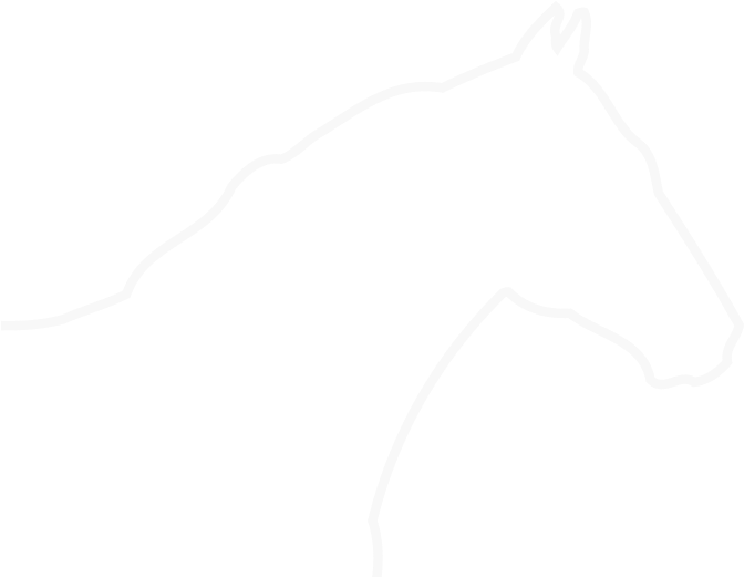 Fast Company - Stallion (800x600), Png Download