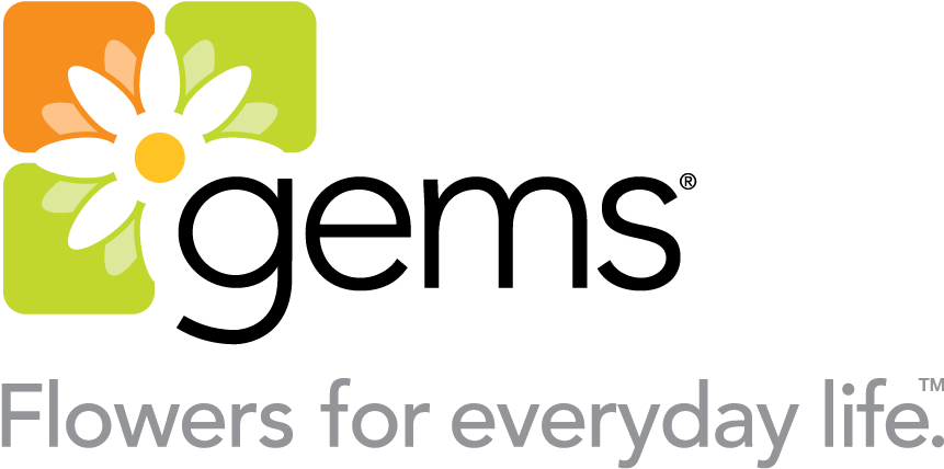 Publix Courts Hispanics With Flowers - Gems Group (891x472), Png Download