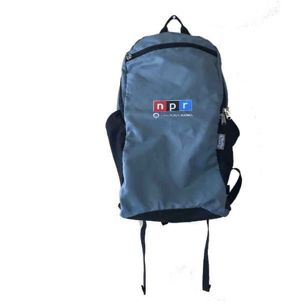 Ipr/npr Collapsible Day Pack - Laptop Bag (673x605), Png Download