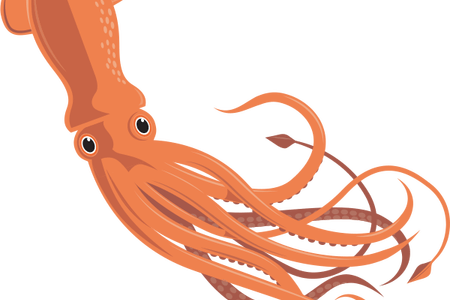 Png Full Hd Maps Locations Another World - Squid Png (450x300), Png Download