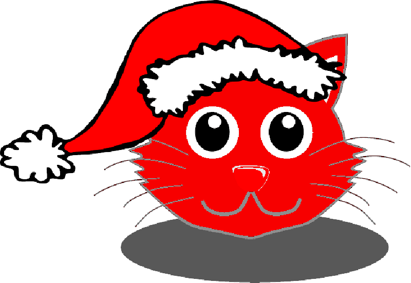 Mb Image/png - Christmas Bear Shower Curtain (800x551), Png Download