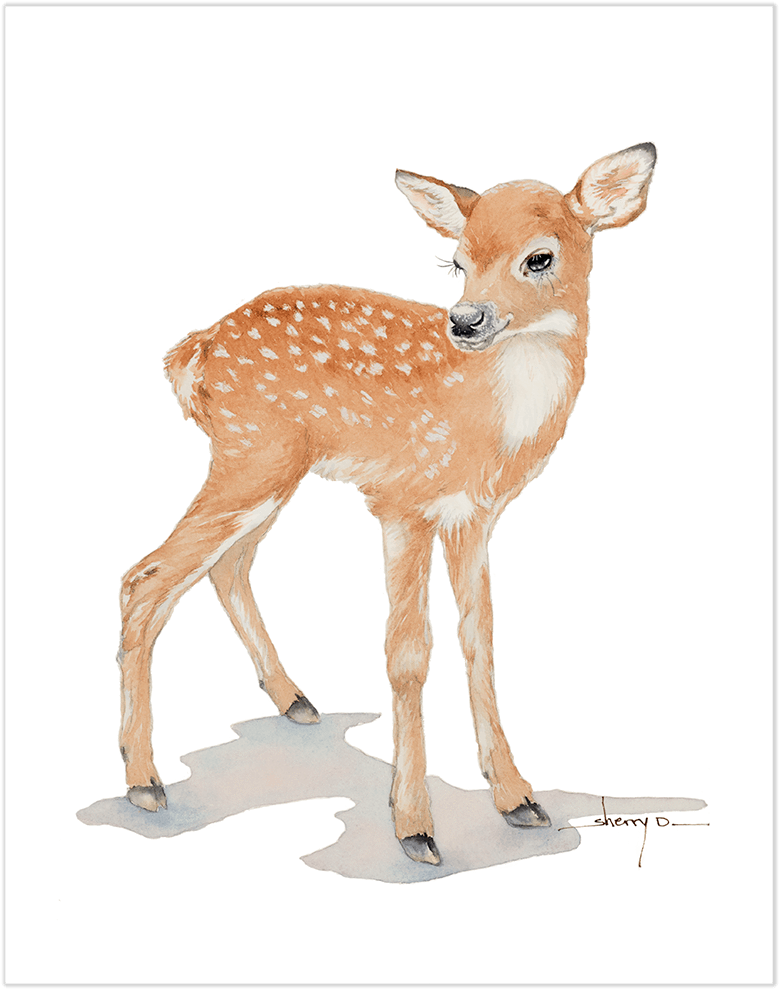 Popular Baby Deer Wall Art - Watercolor Fawn (1000x1000), Png Download