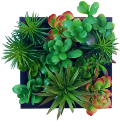 Faux Succulent Living Wall (494x518), Png Download