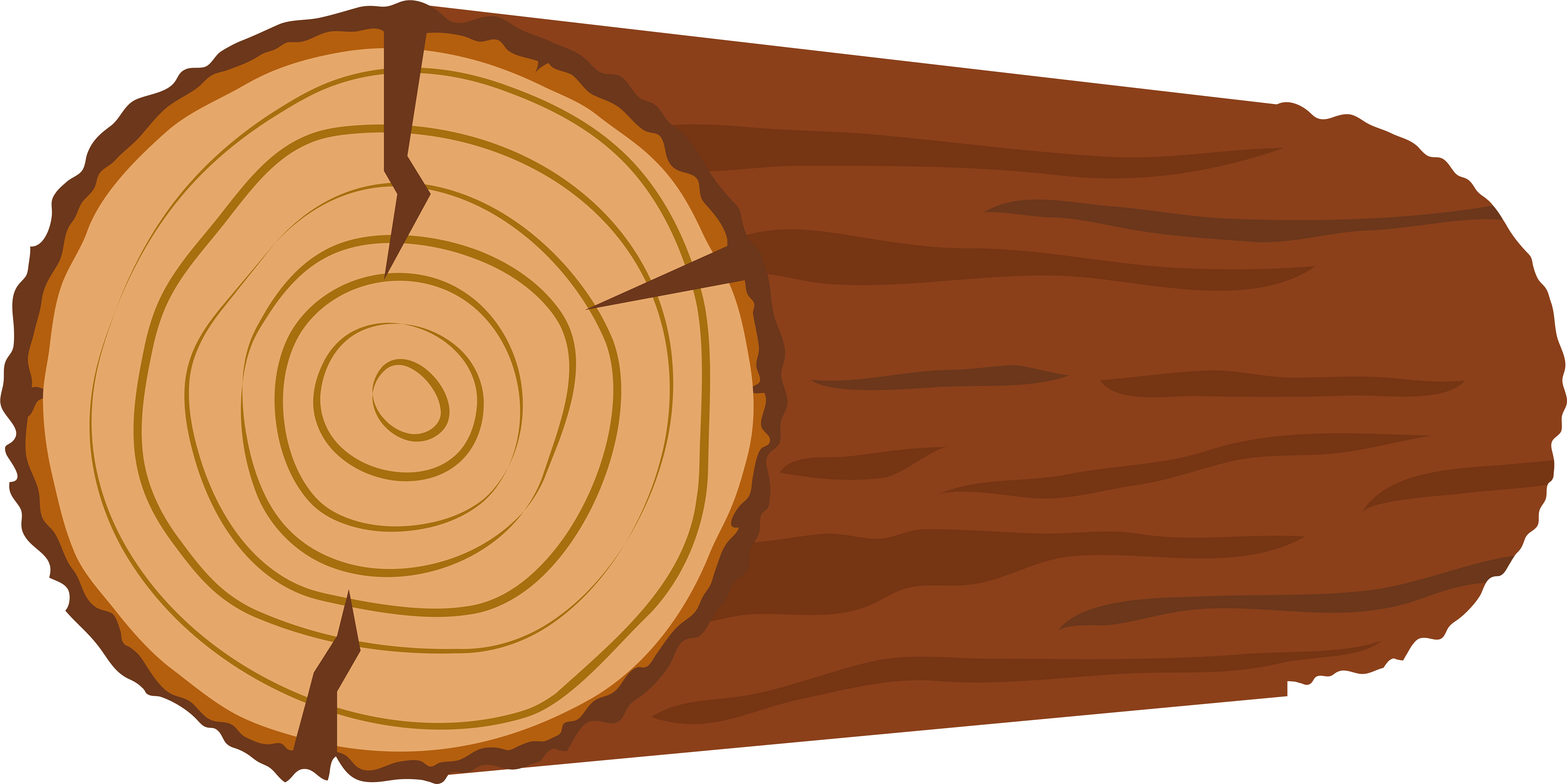 Clipart Tree Trunk Transparent (8000x4046), Png Download