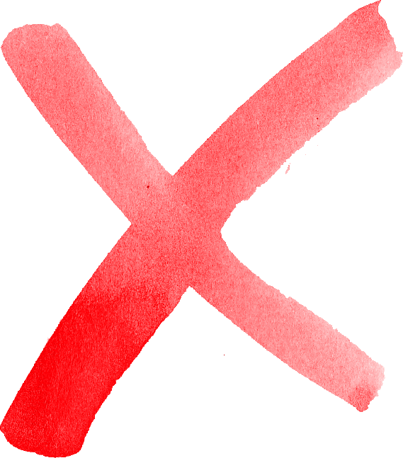 Free Download - Starfish (569x647), Png Download