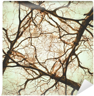 Tree (400x400), Png Download