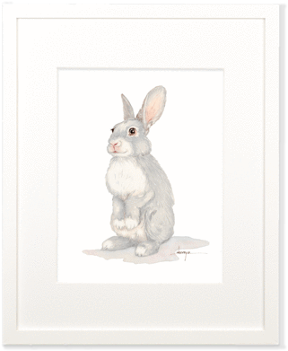 Baby Rabbit Wall Art - Domestic Rabbit (400x400), Png Download