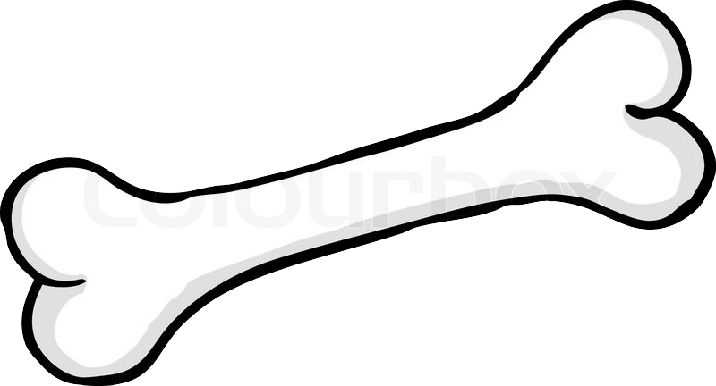 Knochen Cartoon (800x432), Png Download