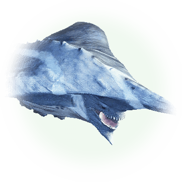 Oceanic Creatures - Bdo Nineshark (360x360), Png Download