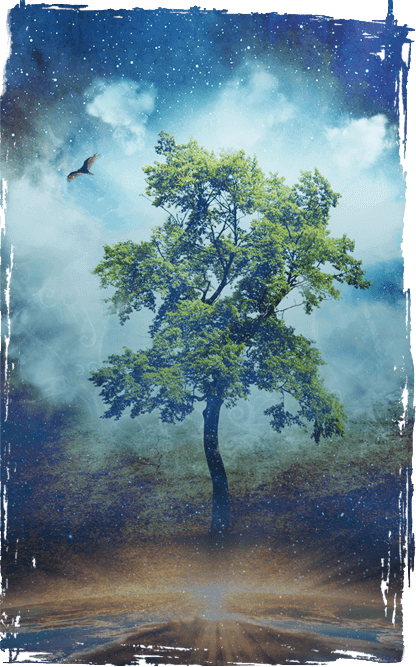 About The Summit - Unraveling The Mystery Of Healing (416x667), Png Download