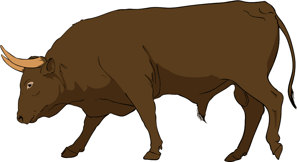 Bull Clipart - Ox Clipart (1024x569), Png Download