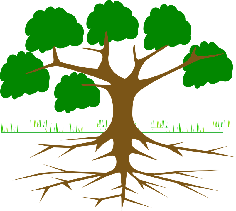 Tree Silhouette Roots At Getdrawings - Arbol De Problemas Para Llenar (804x720), Png Download
