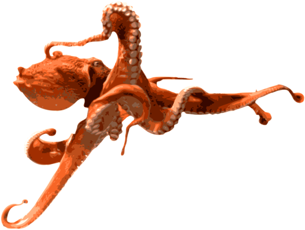 Octopus Png Clipart - Octopus Png (640x475), Png Download