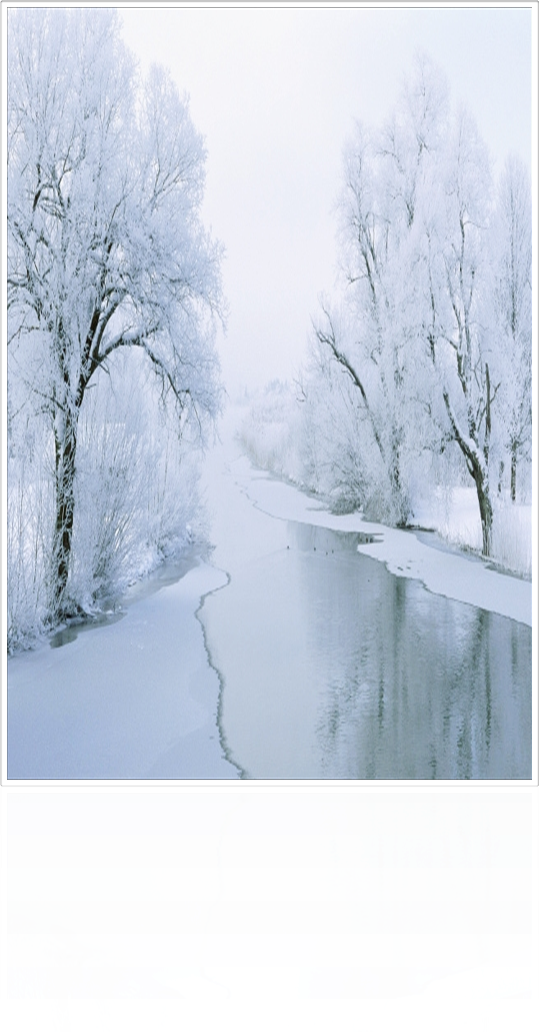 Beginning November "frosty Forest" All Designs Are - Snow Bridge (1103x2146), Png Download