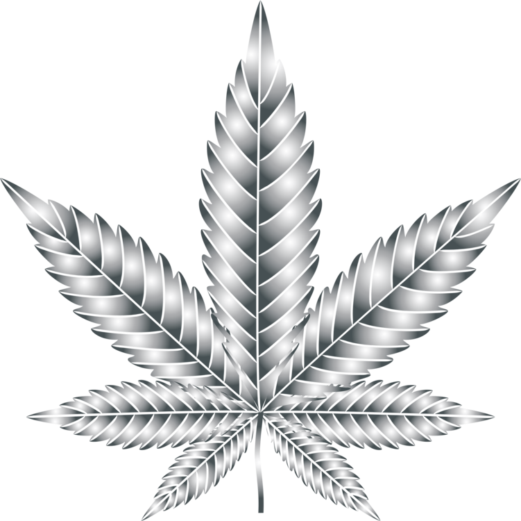 Leaf Cannabis Symmetry Silhouette Multiculturalism - Clip Art (751x750), Png Download
